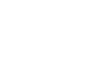 Internet Professional Association